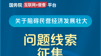 戳水小屄视频国务院“互联网+督查”平台公开征集阻碍民营经济发展壮大问题线索